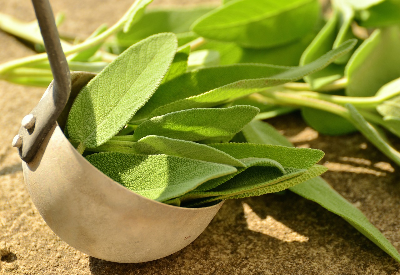 How to Create a Mason Jar Herb Garden